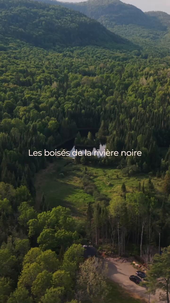 Réel promotionnel les boisés de la rivière noire